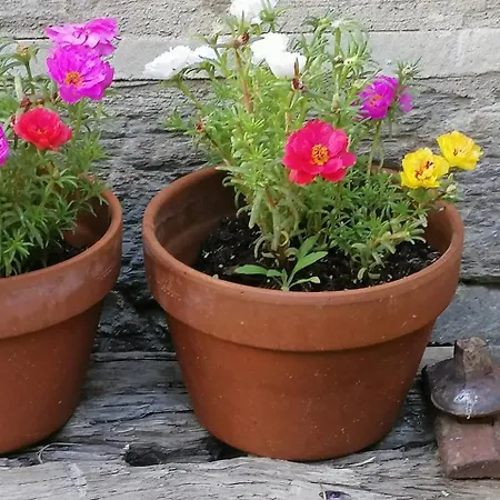 Curato El Horno Apartment Trefacio