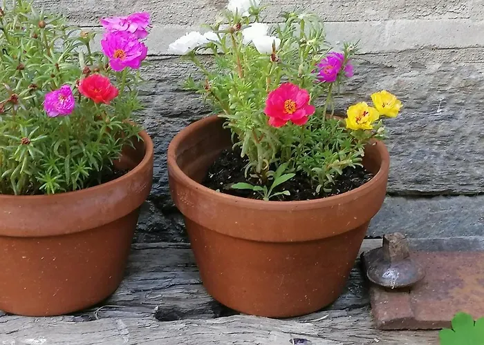 Curato El Horno דירה Trefacio